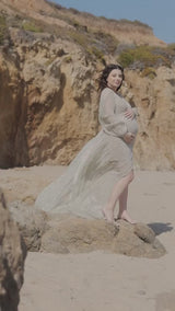 Belle Maternity Dress
