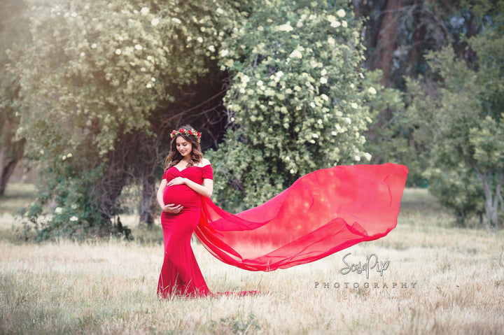 Sona gown with chiffon - ANYUTA  COUTURE