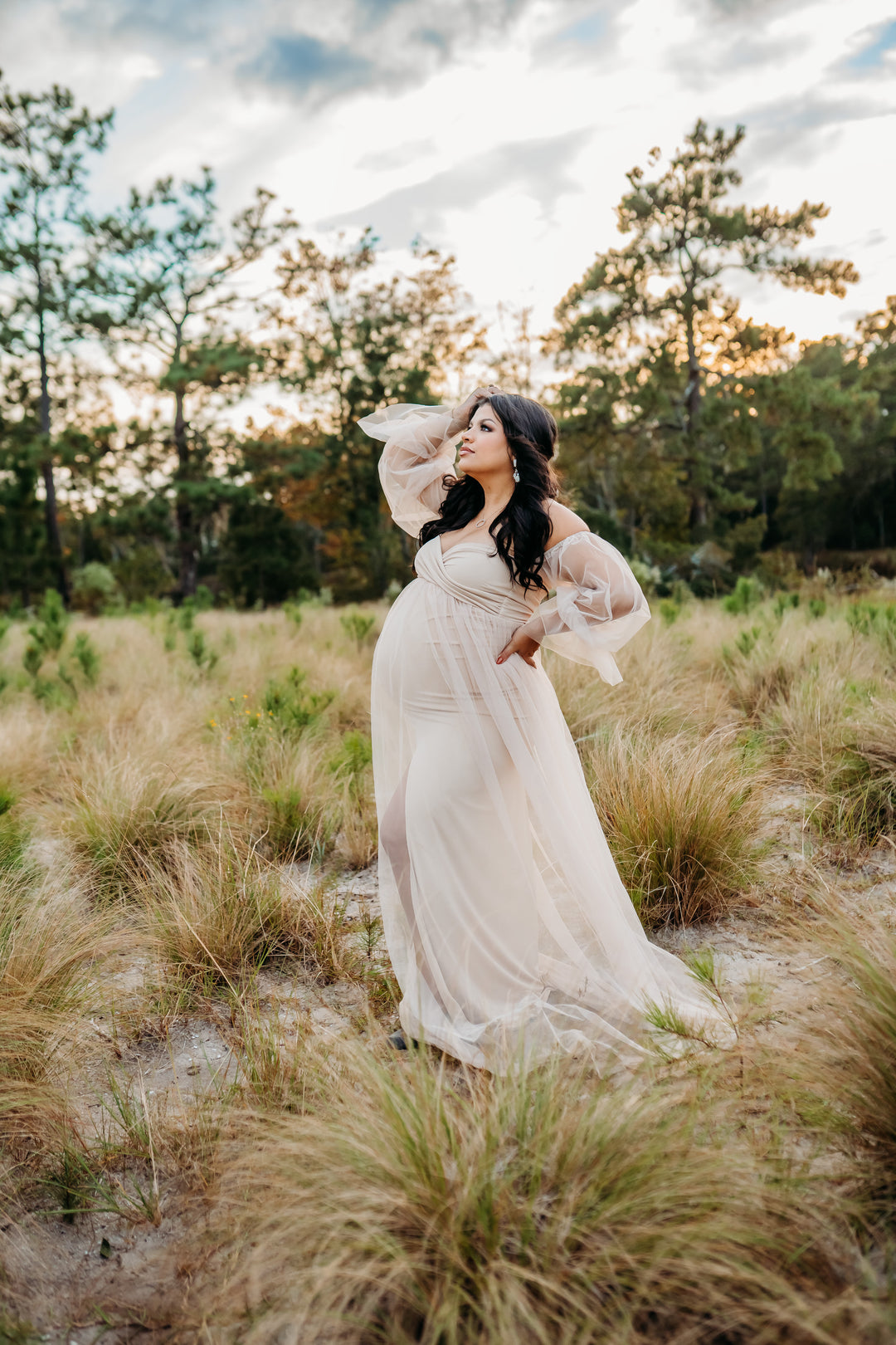 Vienna sweetheart Dress