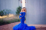Long Sleeve Tulle Maternity Gown